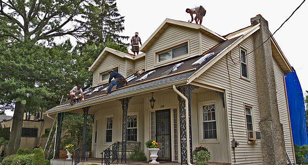 Best Gutter Installation and Roofing  in Litchfield, IL